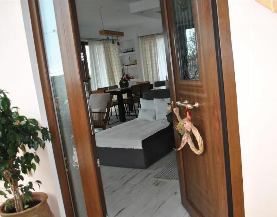 Amaryllis House *