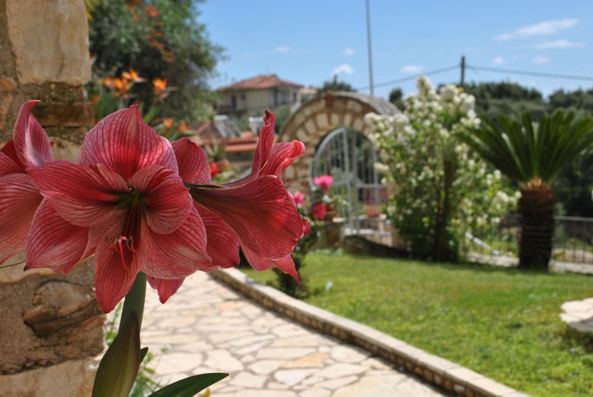公寓 Amaryllis House